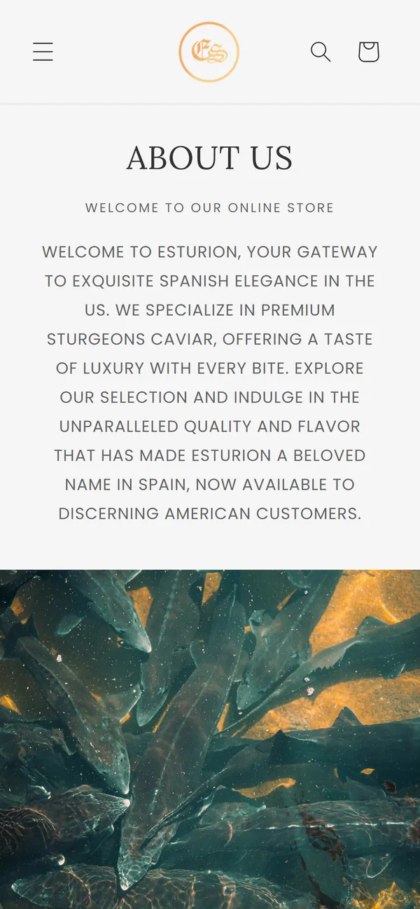Esturión de Sarrión: mobile screen 2