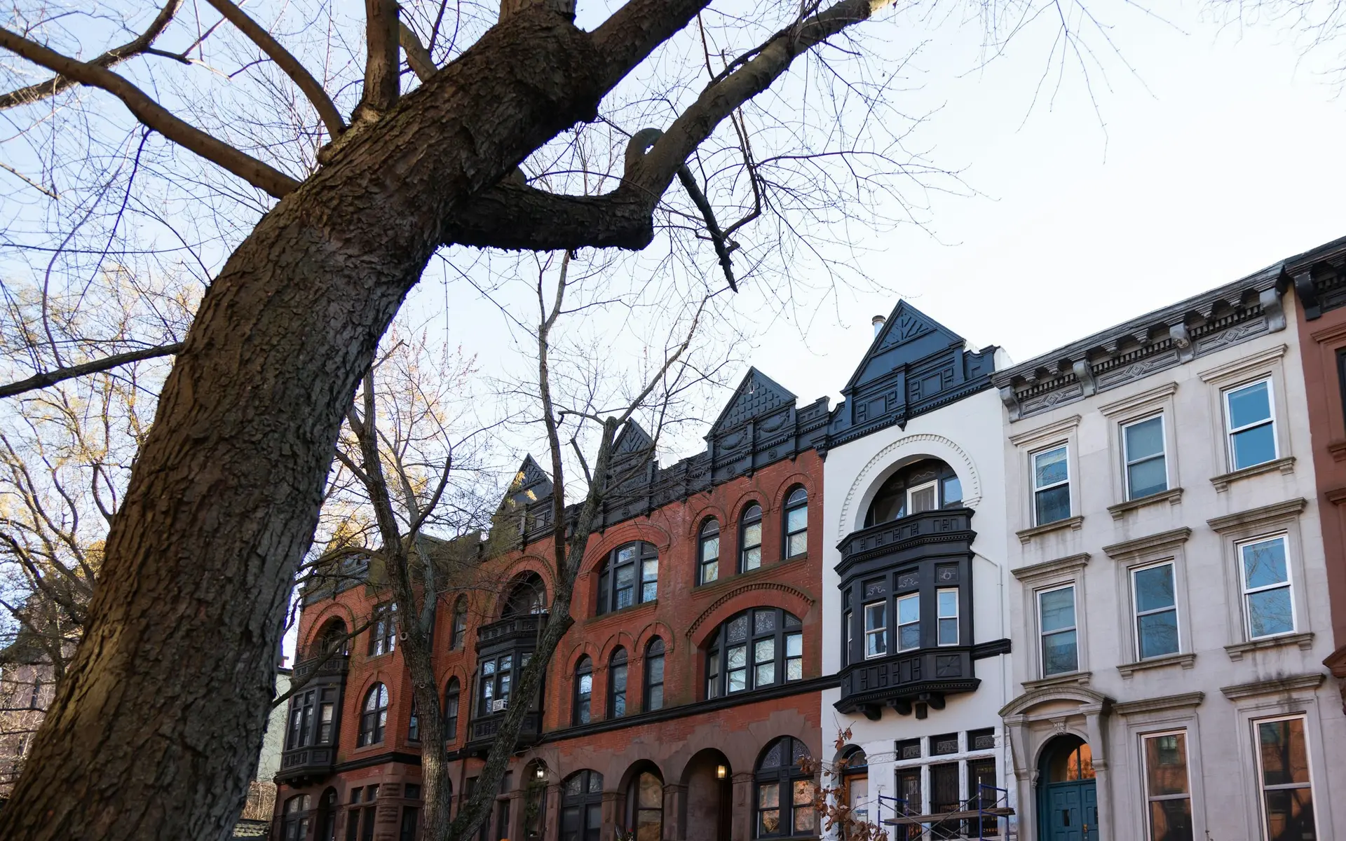 A row of brownstones on a tree-lined New York street
